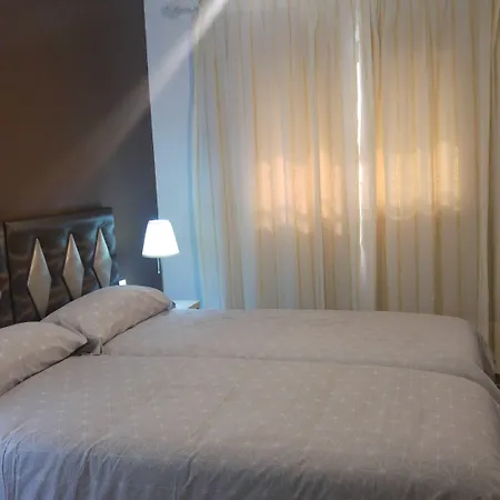 旅馆 森特纳里欧酒店 *