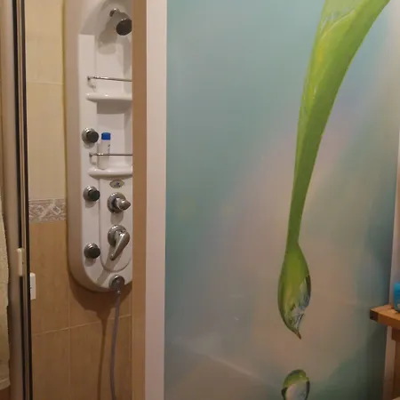 旅馆 森特纳里欧酒店 *