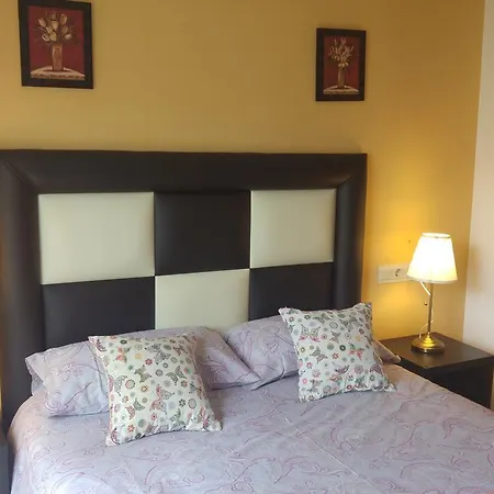 旅馆 森特纳里欧酒店 *