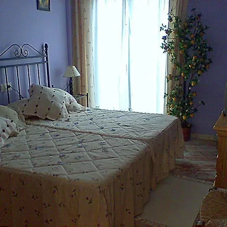 旅馆 森特纳里欧酒店