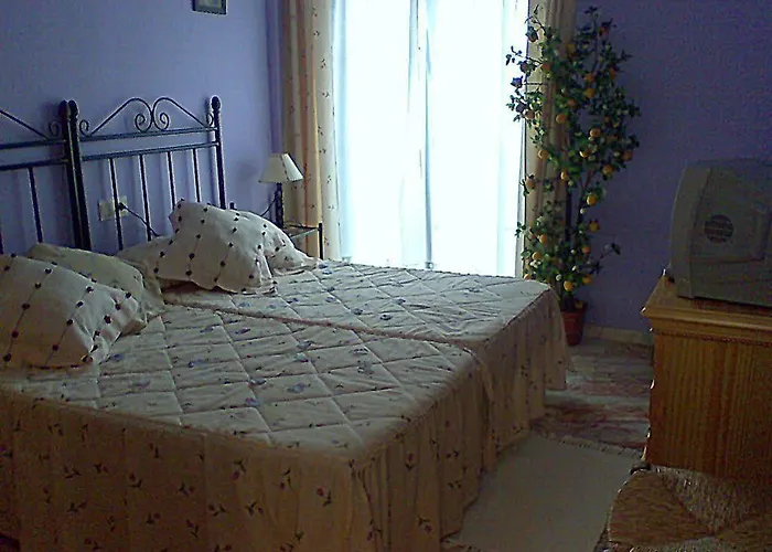 Hostel Hospederia V Centenario