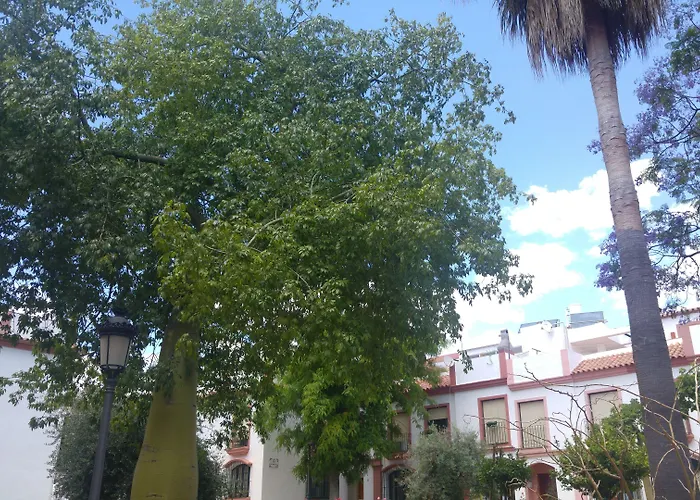 Ostello Hospederia V Centenario *