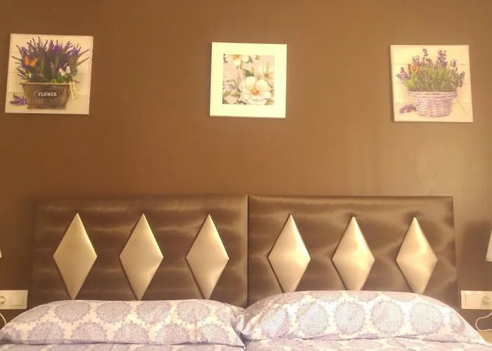 Hospederia V Centenario Ostello Estepona